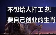 查看哪些生肖想要打破打工困局,展现自己的创业能力及追求自由的精神