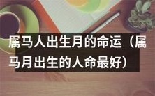 马年生肖属马的人,注定拥有命中注定的命运——以属马月出生者命运最好为例探究