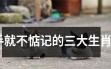 三大生肖男——分手后还能保持心情愉快而无需牵挂的秘诀