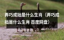 探究弄巧成拙表现为何种生肖的性格特质——弄巧成拙的生肖是什么?