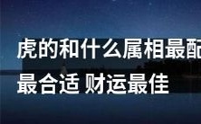根据中国传统文化,究竟哪个属相最适合与虎结合,以获得最佳财富运势?