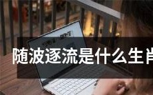 探究随波逐流人格特点的十二生肖中哪些?