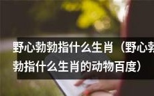 哪些生肖动物可以被形容为野心勃勃的?