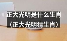 通过猜测,您能告诉我们正大光明是哪个生肖吗?(猜猜正大光明属于哪个生肖?)