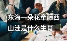 探究东海牵藤西山洼一朵花对应的生肖是什么