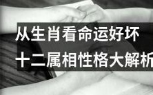 通过十二生肖来探析命运的好坏以及详细解析每个属相的性格特征