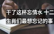 十二生肖们最想遗忘的事——当他们饮下那杯忘情水后波澜起伏的心路历程