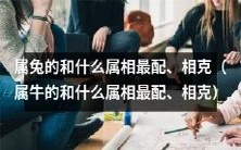 跟属兔的人配不配,要看你是什么属相!从相克到绝配,属牛和属兔的配对指南!