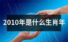 什么是2010年的属相?
