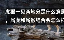 虎猴一见两地分的寓意是什么?如果属虎和属猴在一起,会带来怎样的影响?