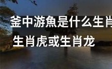 您知道釜中游鱼是哪个生肖吗?它是生肖虎或生肖龙中的哪一个?