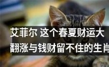 艾菲尔:在这个春夏季节,有些生肖财运大翻涨,却无法留住钱财