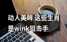 这些生肖的眼神太吸睛,简直是wink狙击手,让人动容不已