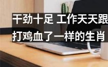 这里提供三个选项:
