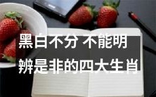 四大生肖:无法分辨黑白、难以辨别是非的动物象征