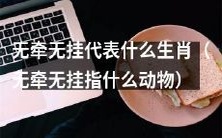 什么动物代表着“无牵无挂”的特质和品质?