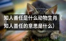生肖是什么?了解知人善任的含义和对人际关系的重要性