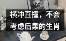 横冲直撞、不顾后果——探寻那些不会为后果考虑的生肖们