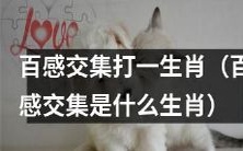 令人五味杂陈的生肖之谜:谁是“百感交集”?