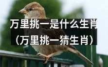 不差钱挑战之万里挑一猜测您的生肖到底是什么?