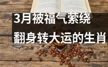 通过3月福气神灵的眷顾,翻盘脱胎换骨,获得好运的生肖者们