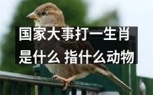 什么动物在国家大事上扮演重要角色?探究生肖在国家事务中的意义