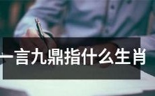 生肖中哪一个象征着“一言九鼎”的含义?