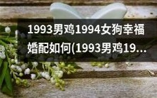 如何让1993年出生的男鸡和1994年出生的女狗的婚配获得幸福?