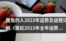 2023年属兔人的全年运势及运程详细解析,附带属蛇人2023年运势与运程分析
