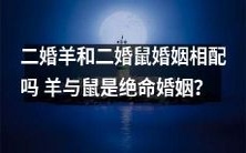 二婚羊与二婚鼠:婚姻是否能够相容?或许羊与鼠是注定绝缘的配对关系?