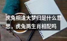 虎兔相逢大梦归的寓意与象征,探究虎兔两生肖是否相互匹配的奥秘