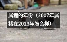 如何预测在2023年,属于猪年出生的人将会面临哪些情况和挑战?