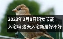 2023年国际妇女节日入宅是否吉利?值得考虑此日搬新居的吉凶问题
