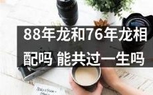 可以尝试改写为:"年份相差12年的龙,是否能相互匹配并度过一生?"