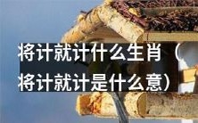 使用策略:运用同义词替换、扩充关键词及形容词