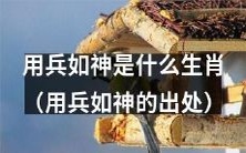出自经典兵书《孙子兵法》的用兵如神,是哪个生肖的特质所在?