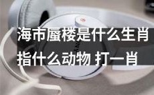 通过识别海市蜃楼的生肖指代,猜测其隐喻的动物更确切的幸运号码