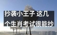 如何在生肖考试中成功抄袭,借鉴小王子的经验?