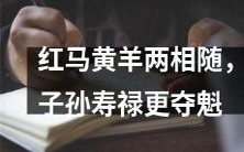 红马黄羊双双同行,继承者将登上寿禄之巅夺得第一?