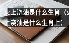 哪些动物属于火上浇油的生肖?