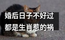 由于生肖的影响,婚后生活艰难,情况不佳