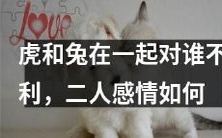 虎兔同处,大家难逃劫数?探究二者爱情经历与身世,揭密此搭配的利弊得失