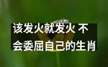 生肖排行榜上的自信之星:选择发脾气而不耐委屈自己