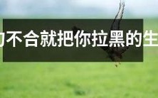 一旦半句不合便毫不留情拉黑你的生肖类型