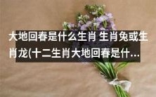 究竟是生肖兔还是生肖龙,代表着大地回春的十二生肖?