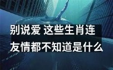 这些生肖对友情一无所知,更不要指望他们懂得什么是爱