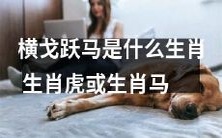 究竟是横戈跃马的生肖是哪个呢?是生肖虎还是生肖马?