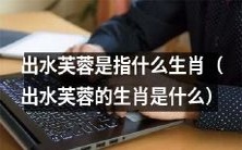 你知道“出水芙蓉”是哪个生肖吗?