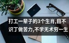 不求上进,目不识丁,以苦力为生 - 三个打工生肖,注定一生贫穷无望