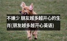 生肖幸福指数正比于友谊数量:朋友越多越快乐(英文版)